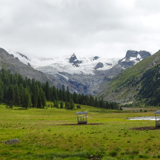 Hochtourenwoche Biancograt und Piz Palü